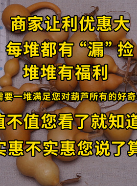 葫芦瑕疵练手摆件文玩天然蚂蚁
