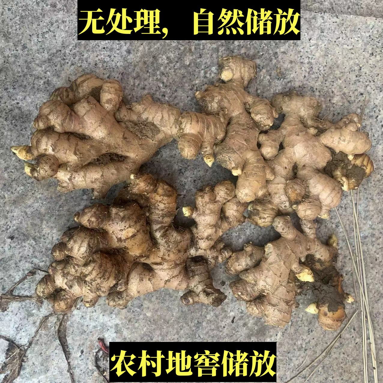 衢州小湖南农户自种生姜大黄姜新嫩老蛟垄生姜包邮正片月子姜土姜 - 图2