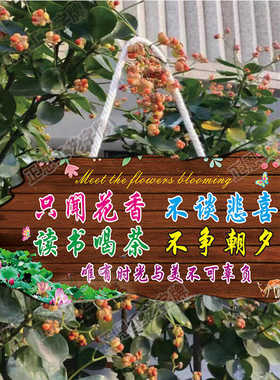 家用阳台花园庭院挂牌