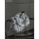 Uustudio niche fashion chain plush European and American bag