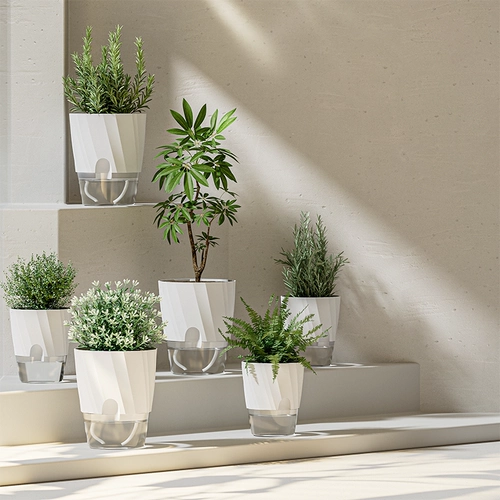 Ленивый самопоглощенный цветочный горшок Гидропонный растение