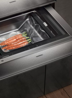 GAGGENAU暖抽真空机DV461/DVP221
