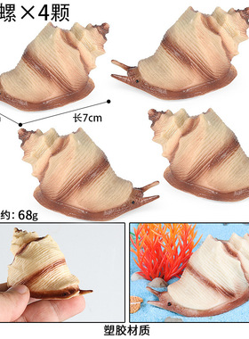 跨境仿真海洋生物模型摆件海螺贝