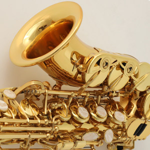 fanisic降B调高音萨克斯儿童萨克斯儿童成人通用型小弯管萨克斯风