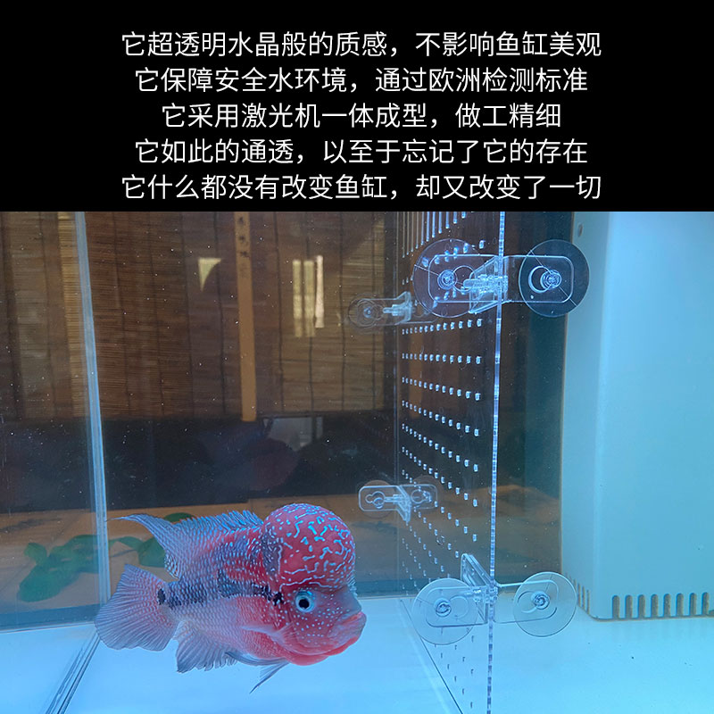 亚克力鱼缸隔板挡板透明隔离板隔断挡小鱼苗防斗鱼水族吸盘可定制 - 图2