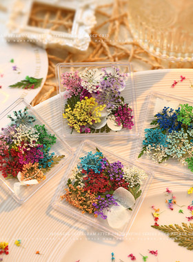 莫奈风干花小清新美甲盒
