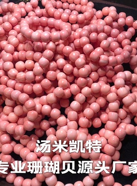 天然深海收藏级粉嫩珊瑚贝红珊贝