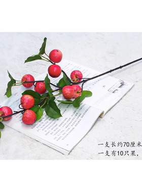 小苹果假花仿真花摆设高级感逼真玄关装饰摆件客厅餐桌干花仿生花