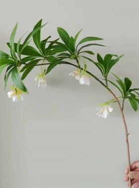 水石榕花仿真花客厅餐桌植物仿生绿植摆件干花假花装饰花造景摆设