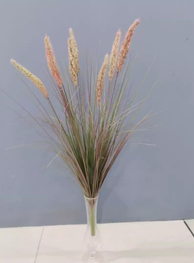 仿真毛毛草牧草狗尾巴草芮草橱窗布景装饰摆放植物狼尾草