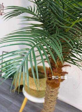 仿真椰子树盆栽商场室内外装饰美化仿真植物盆景热带植物假树