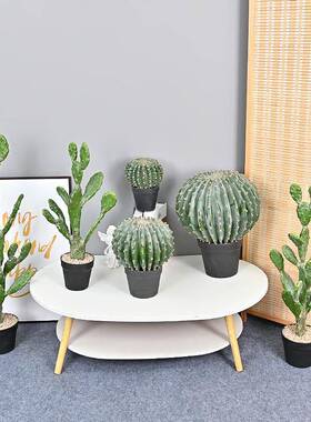 仿真仙人掌仙人柱球热带沙漠植物店铺橱窗装饰绿植盆栽摆件摩洛哥