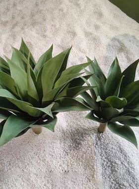 仿真龙舌兰摆件沙生植物景观造景搭配仿真绿植假植物假花