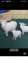 Genuine Leather Emulation Goat Goat Animal Model Milk Powder Shop Shop Window Swing Piece Shooting Props Home Pendulum children Toys