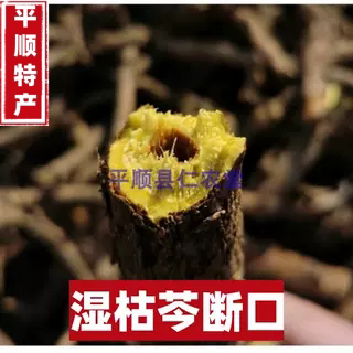 野生黄芩个子整株枯芩条芩子芩500克包邮山西黄芩新货黄琴包邮 - 图0