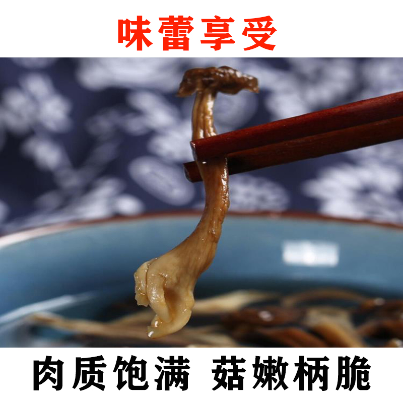 云南鹿茸菇特产干货500g包邮正宗鹿茸菌2024美味食用菌菇蘑菇香菇 - 图1