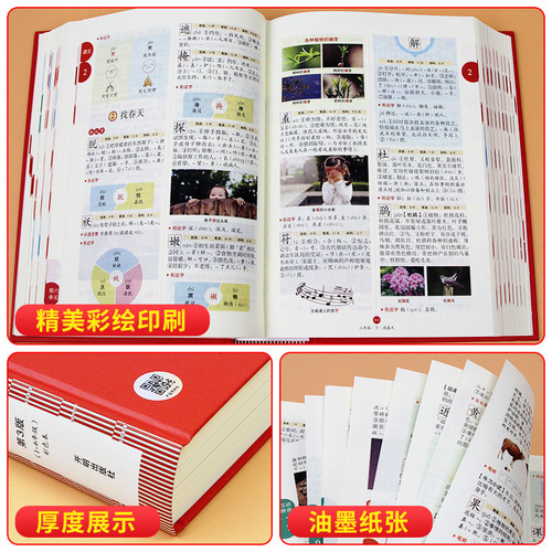 小学生字词句手册 2025秋季新版 年级阅读第6版绘本课堂第8版一二三四五六年级上下册练习书素材书学习书语文教材专用开明出版社 - 图3