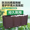 Special balcony planting box for growing vegetables can store water and drain water