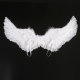ວັນເດັກນ້ອຍເທວະດາ Feather Wings Angel Wings ການປະຕິບັດ Costume