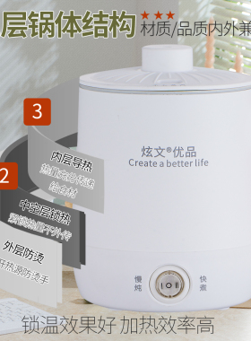 小功率家用养生杯电炖杯办公室煮茶电热水杯煮牛奶中药电加热神器