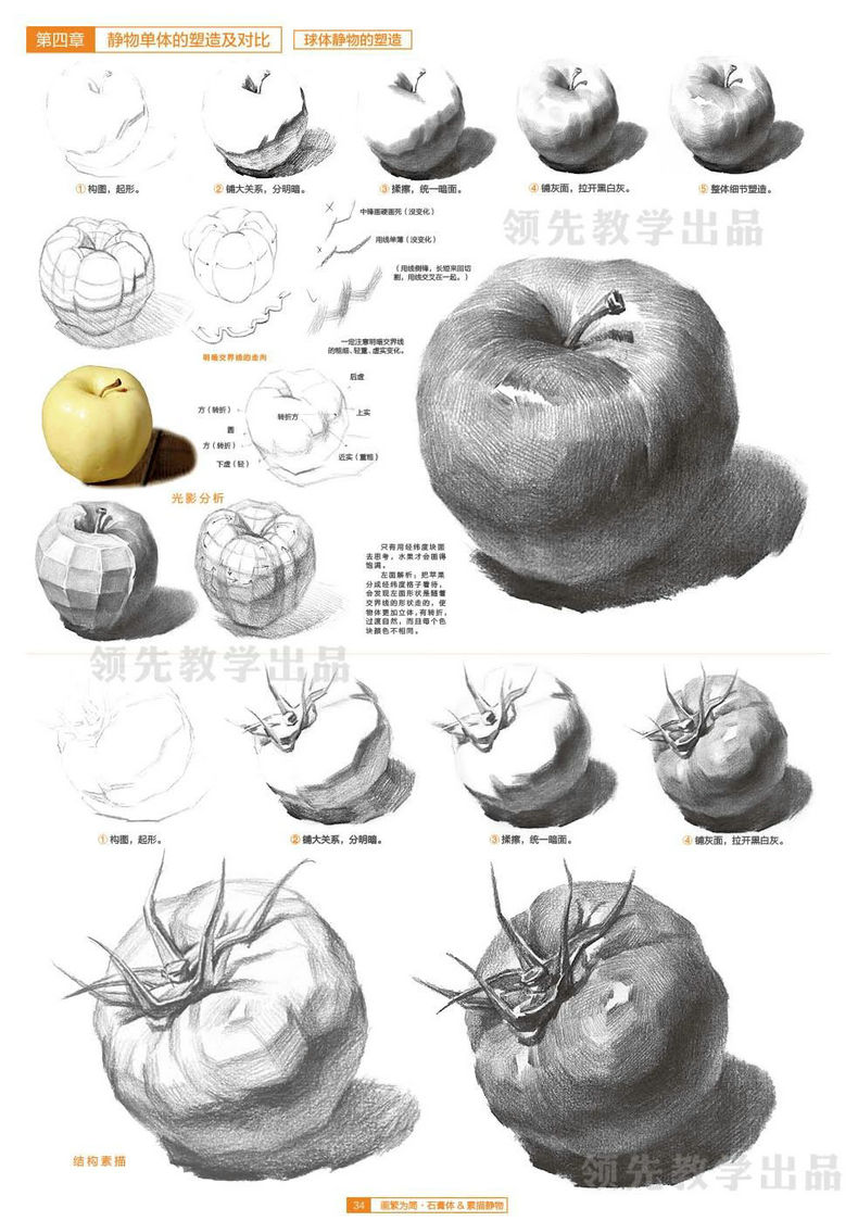 画繁为简石膏体素描静物2020领先教学张磊基础入门单体组合几何形体结构光影透视范画临摹范本美术绘画册高考联考国美院教程材书籍-图2