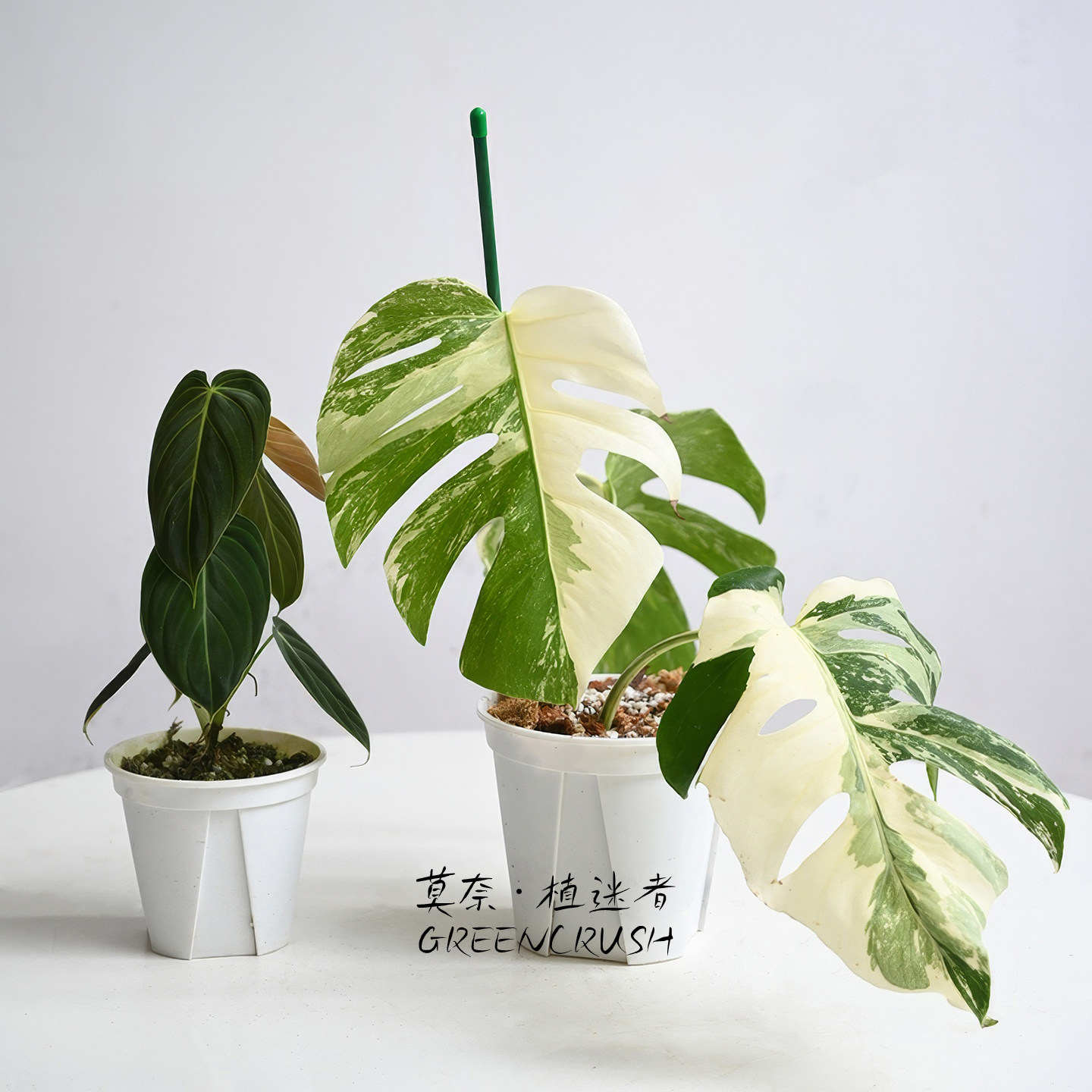 图2