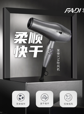 发帝大功率发廊专用负离子吹风机