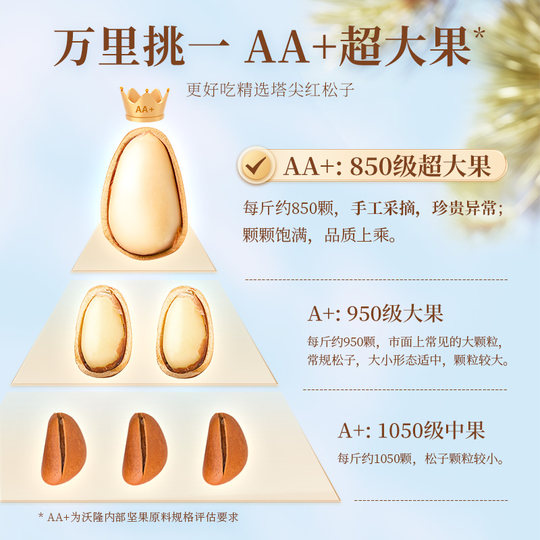 Wolong Northeast Extra Large Pine Nuts 288g 2 canettes 850 niveaux de gros snacks aux fruits