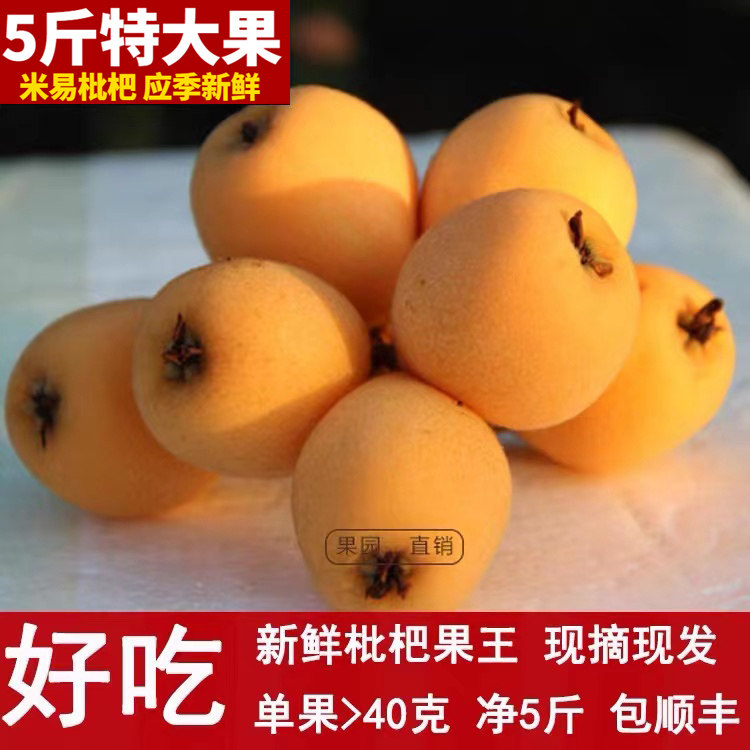 米易枇杷新鲜特大果5斤顺丰包邮孕妇宝宝水果攀枝花五星琵琶应季