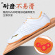 Li Ning Tai Chi shoes high-end men's spring and autumn shoes