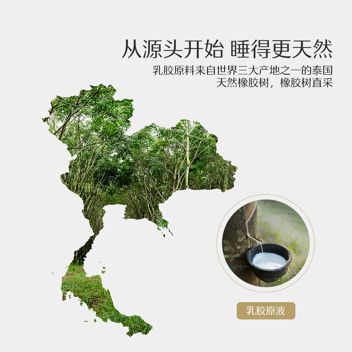 水星家纺官网正品乳胶枕头泰国进口天然橡胶枕抗菌学生成人护颈椎,淘宝优惠券,粉丝福利购,淘宝优惠卷