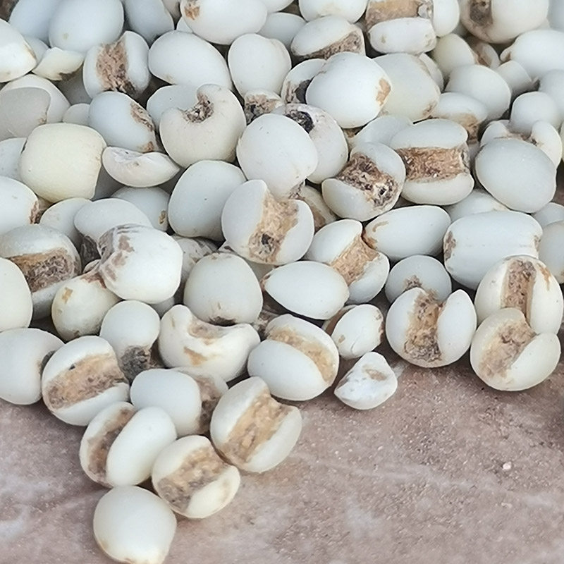 新鲜去壳云南小薏米正品农家自产薏米仁优质小薏仁米杂粮包邮,淘宝优惠券,粉丝福利购,淘宝优惠卷