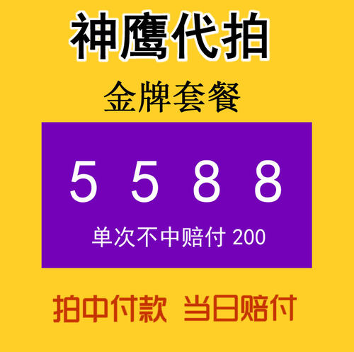 神鹰代拍 沪牌代拍牌照汽车 车牌代拍上海车牌拍牌 代拍沪牌 - 图1