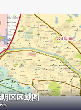 光明区区域图 现代简约装饰画 办公室挂画 定制地图挂图