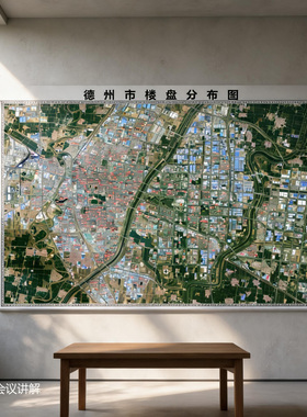 可定制地图行业可擦写挂图办公室