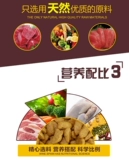 Домашняя кошачья пищевая котенок для взрослого кошачьего корма 5 Джин -аромат говяжий вкус питания следов питания