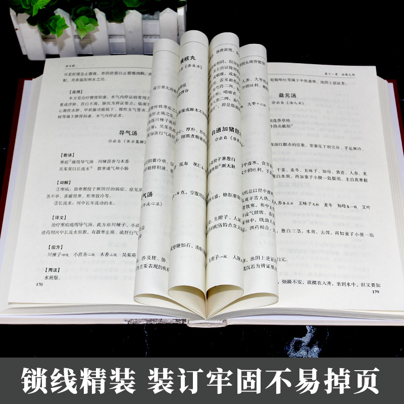 汤头歌诀图文白话解正版全套 中医书籍大全基础 常用方剂300余方 配方中药药方书中医基础理论中医方剂学中医学入门千金药方全集 - 图3