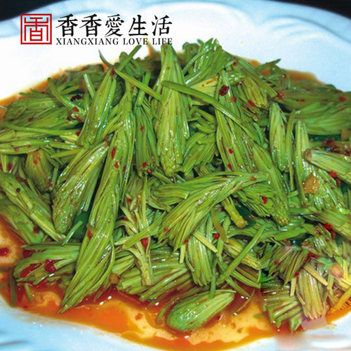 云南特色食材酒店半成品保鲜蔬菜新鲜沙松尖野菜食用凤尾花私房菜 - 图2