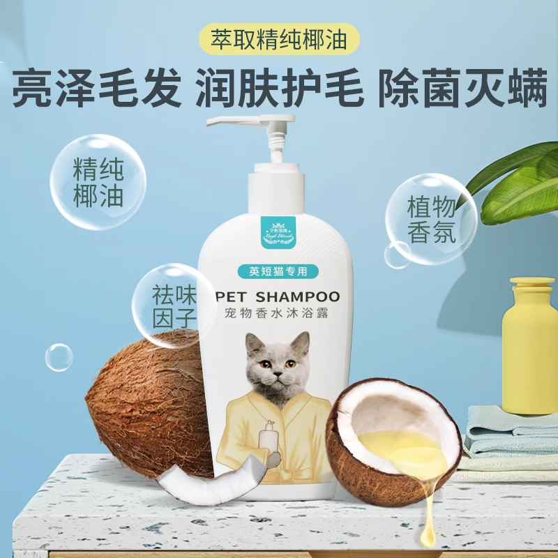 英短银渐层蓝猫专用猫咪沐浴露杀菌除螨洗澡用品大全宠物沐浴液 - 图0