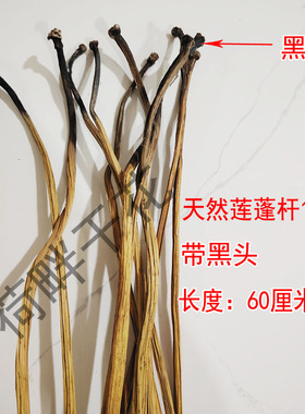 莲蓬杆真杆莲蓬杆荷叶杆荷花杆
