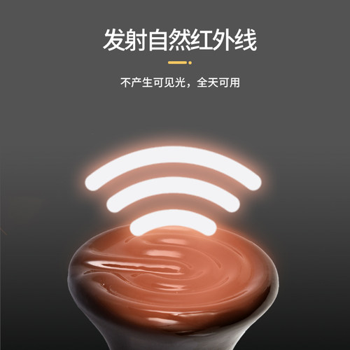 Reptizoo陶瓷加热灯泡无光取暖鹦鹉宠物爬宠刺猬蜥蜴保温陶瓷灯罩 - 图1