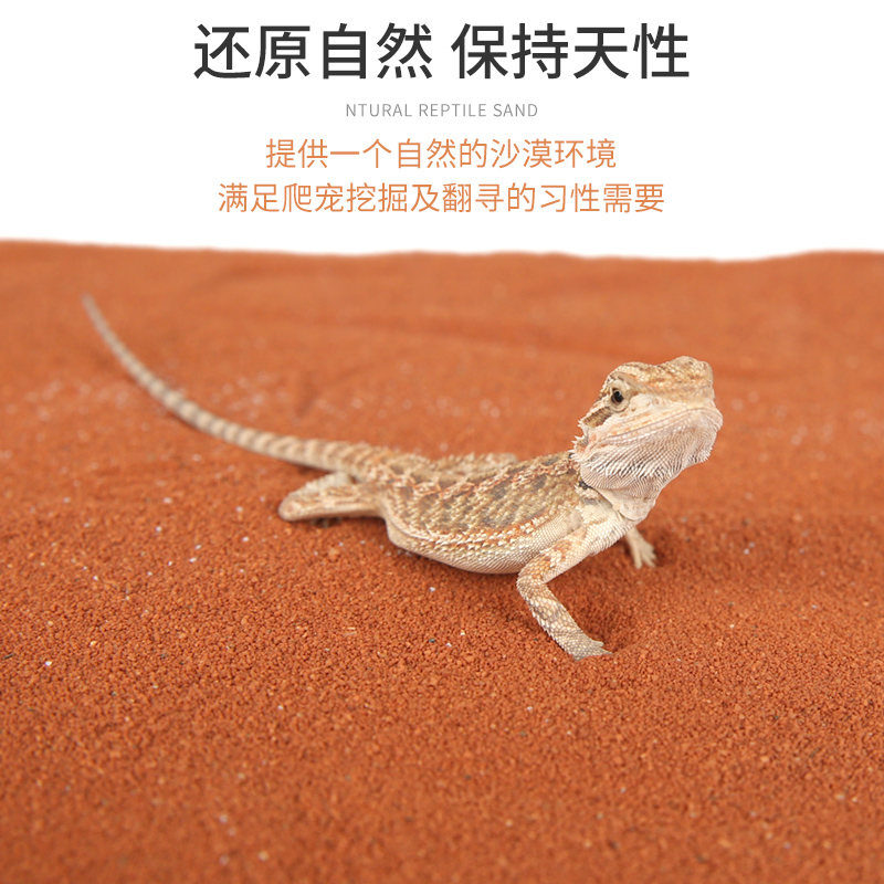 瑞皮Reptizoo爬虫沙爬宠垫材钙沙龟鬃狮蜥蜴垫料守宫饲养箱造景 - 图1