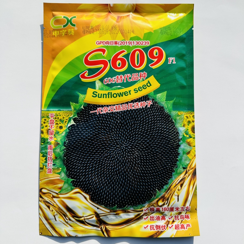 S609中熟油葵种子一代杂向日葵种籽交高产高油抗旱抗倒伏春季播种 - 图2