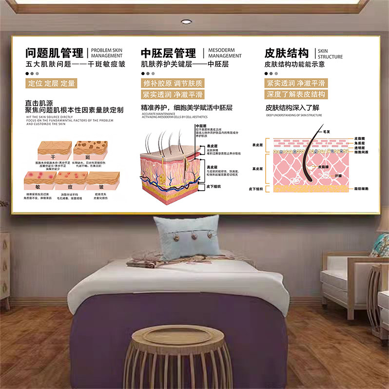 美容院皮肤管理挂画养生馆背景墙壁装饰画祛斑祛痘减肥护肤海报图