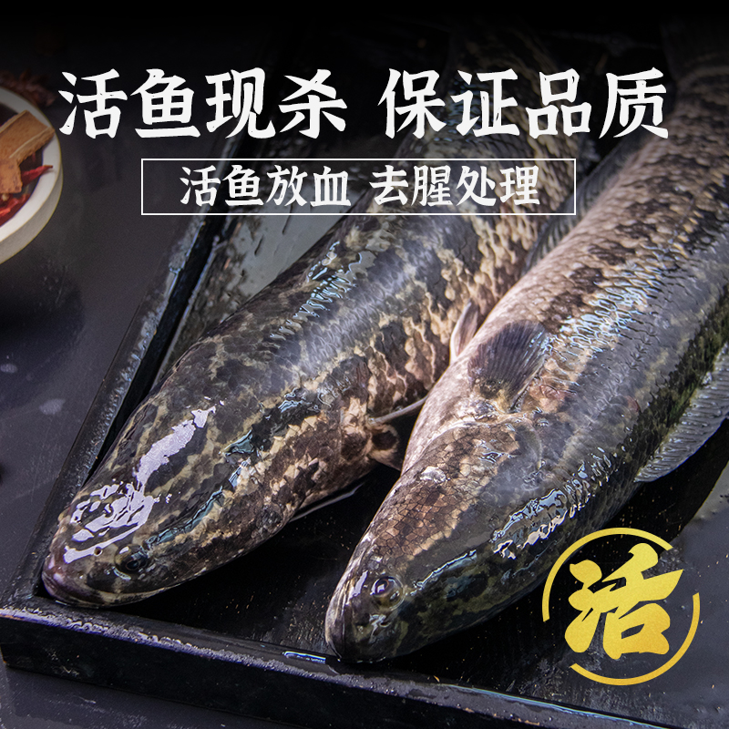 免浆黑鱼片半成品酸菜鱼黑鱼火锅食材商用家用预制菜冷冻乌鱼片-图1