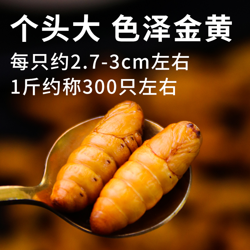 蚕蛹新鲜金丝小蚕蛹鲜活冷冻商用烧烤宠物钓鱼饲料农家商桑蚕顺丰 - 图0