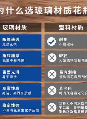养大号龟背竹专用花瓶大