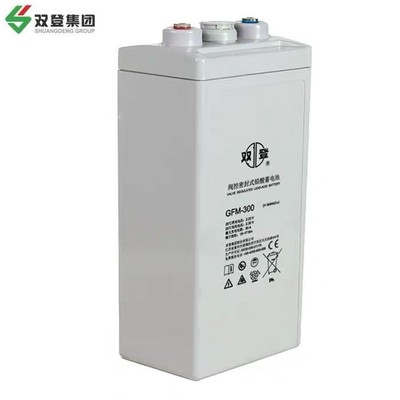 双登蓄电池GFM-100/2V200AH2V300AH2V500AH2V600AH2V800AH1000AH - 图1