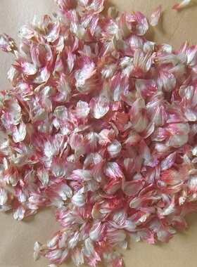 精选红巧梅干花瓣diy手工