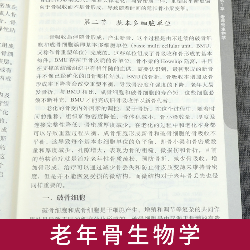 包邮骨质疏松防治手册治疗康复营养指南叶伟胜朱梅主编科学出版社多层次解析发病原因多角度阐述预防原则多方位评价治疗方法-图2